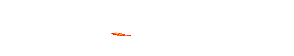 ANGSA4D Logo